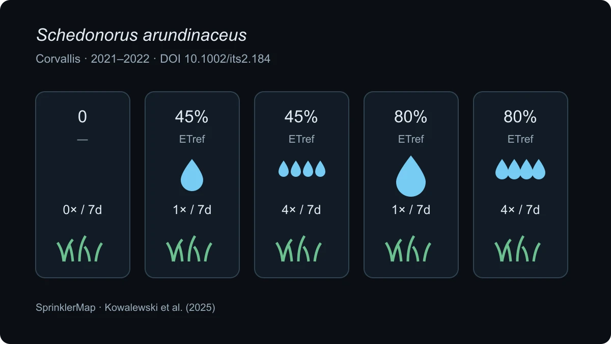 Schema delle cinque condizioni sperimentali: controllo senza irrigazione e due quantità ETref distribuite una o quattro volte alla settimana